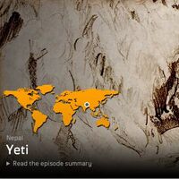 Yeti Destination Truth Wiki Fandom