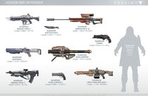 Destiny Weapon Size Reference