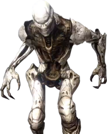 destiny wiki fandom