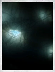 209010 ad5b8aa90cb6b5feee5df7731aa24a1f