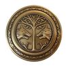 Limited Iron Banner Pin 1