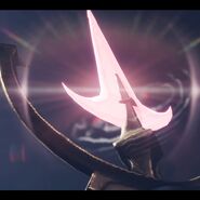 The Echo of Riis