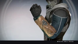 Prime Zealot Gloves