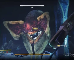 D2-RivenOfAThousandVoices