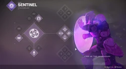 Subclass perk selection.