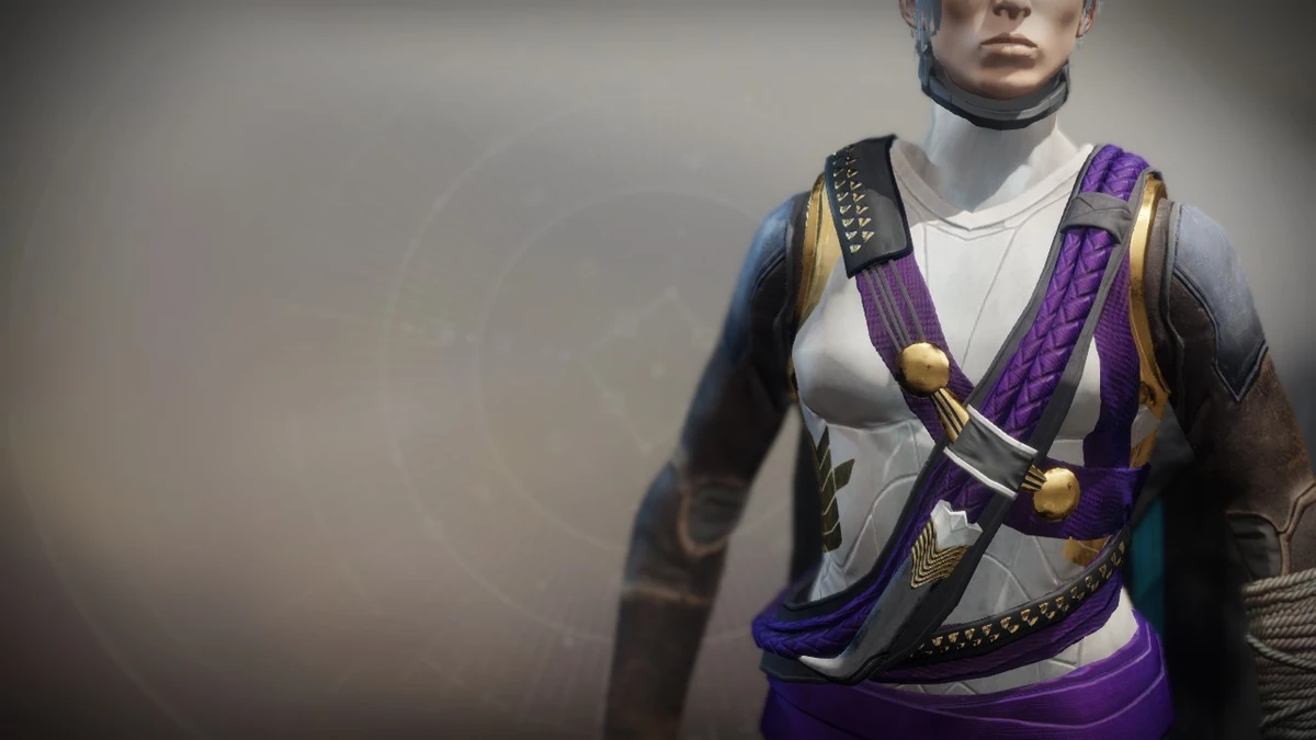 CategoryDestiny 2 Legendary Hunter Chest Armor Destiny Wiki Fandom