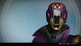 ROI Queen's Guard Hood