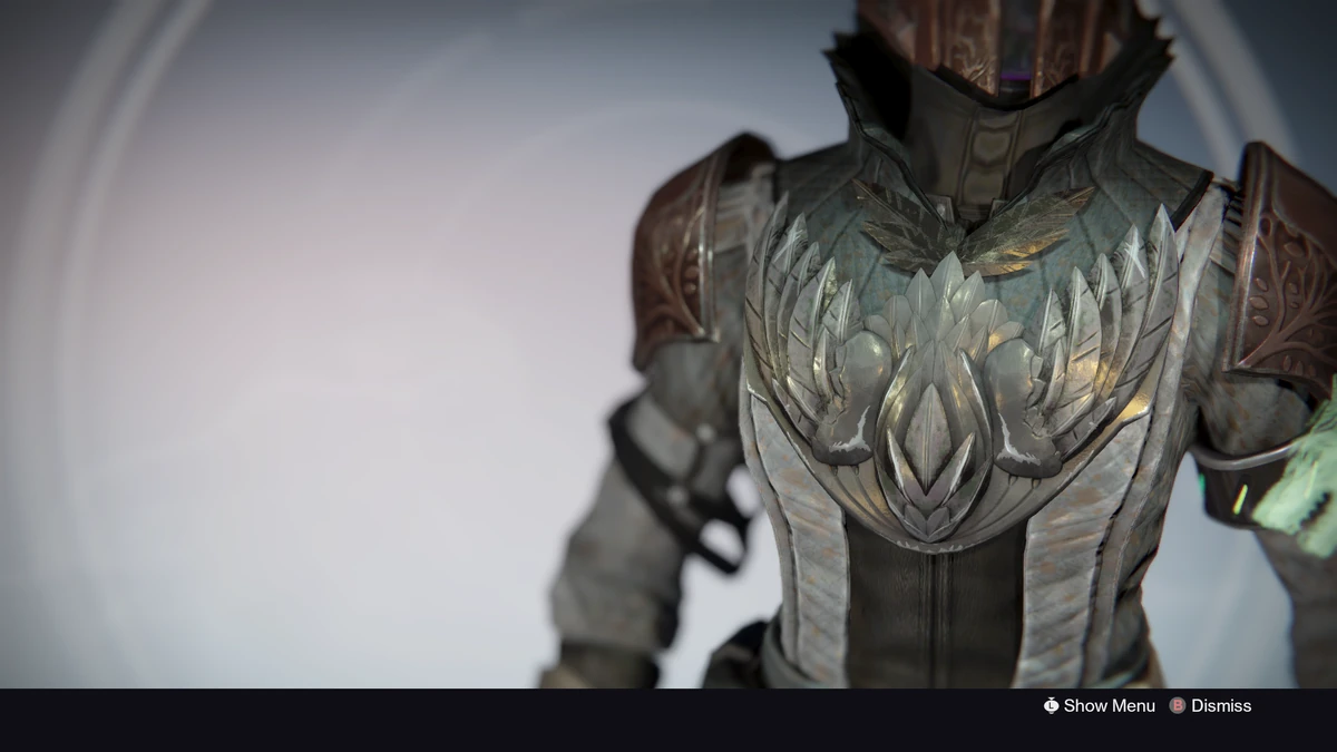 Purifier Robes (Year 1) Destiny Wiki Fandom