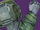 Wildwood Gauntlets Icon.jpg