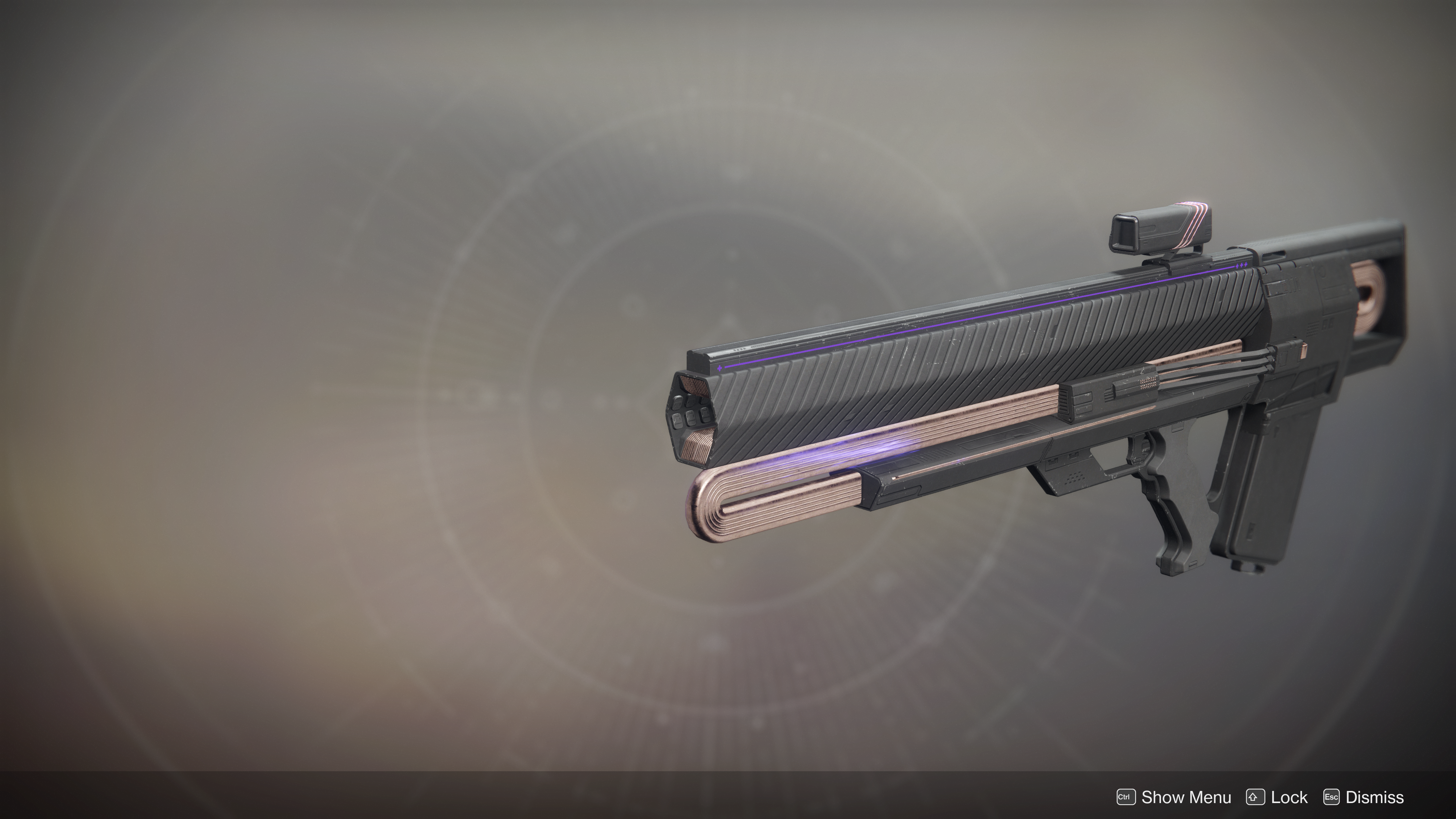 Weapon, Destiny Wiki