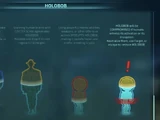 Holobob