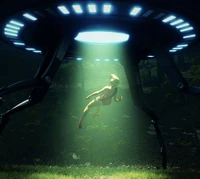 Miss Rockwell’s abduction.