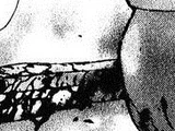 Gung-Nir