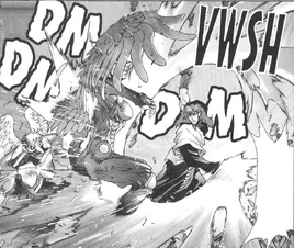 Double Sky Fan manga