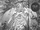 Divine Demon God