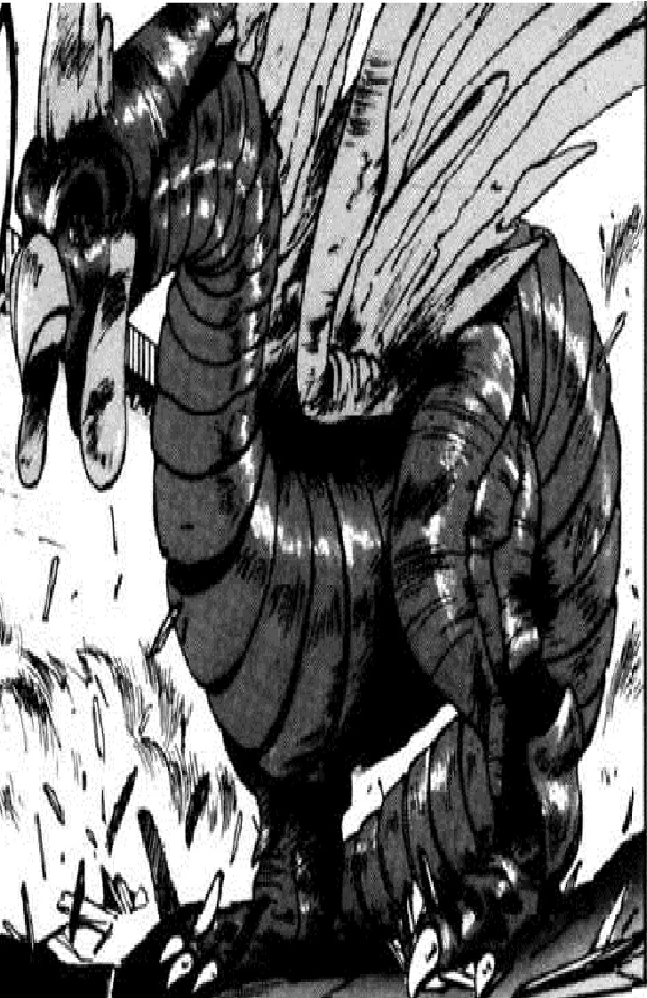 Cockatrice/Image Gallery Bastard!! Wiki Fandom