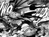 Dragons