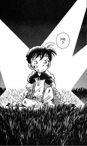 Kudo kid.