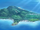 Isla Koyakejima