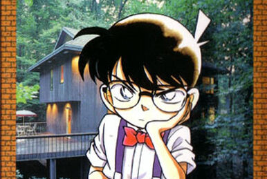 RAIN MAN - Detective Conan Wiki