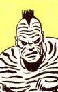 Zebra Man II.jpg