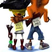 Crash twinsanity