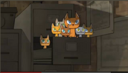 MEOW! THEY'RE ADORABLE!