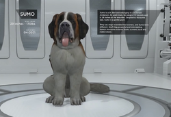 Sumo, Detroit: Become Human Wiki