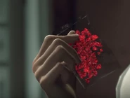 Red Ice DBH.jpg (17 KB) Red Ice.