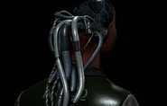Lucy Skull detail 2.png (1.68 MB)