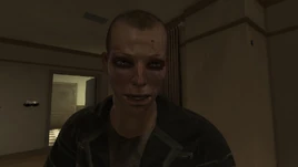 Image of Stevie Cicciola