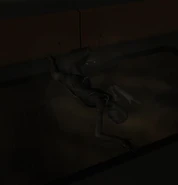 Zhao-body.png (97 KB) Zhao's body, burned by the Hyron overload