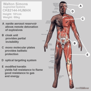 WaltonSimonsNanoAugmentations.png (64 KB) Nano-augmentations of Walton Simons