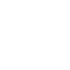 Electromagnetic Pulse Shielding.png