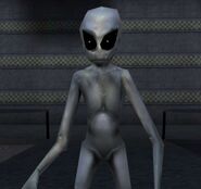 Gray in Sector 4 of Area 51