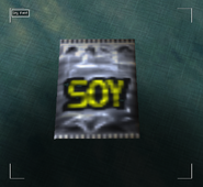 Soy Food