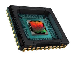 Stem Processor Chip
