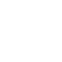 Prague police crest as seen on police station computers