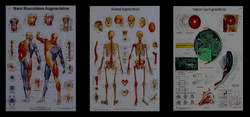 NanoAugmentationScienceBoards