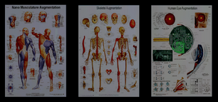 NanoAugmentationScienceBoards