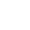 Charged Dash.png