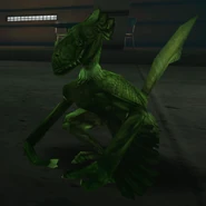 An original greasel.