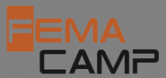 FEMA internment camp logo