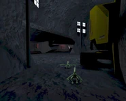 OceanLabGreasels.jpg (209 КБ) Гризлы в лаборатории