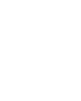 Sarifindustries logo