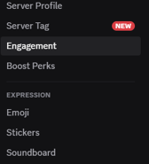 Once you're in Server Settings, enter the "Engagement" section