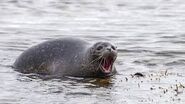 SEAL SEAL SEAL SEAL SEAL SEAL SEAL SEAL SEAL SEAL SEAL SEAL SEAL SEAL SEAL SEAL SEAL SEAL SEAL SEAL SEAL SEAL SEAL SEAL SEAL SEAL SEAL SEAL SEAL SEAL SEAL SEAL SEAL SEAL SEAL SEAL SEAL SEAL SEAL SEAL SEAL SEAL SEAL SEAL SEAL SEAL SEAL SEAL SEAL SEAL SEAL SEAL