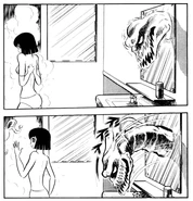 Ghelmer pushes through the mirror