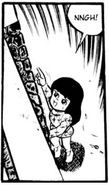 Sachiko in Devilman