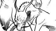 The dragon devil